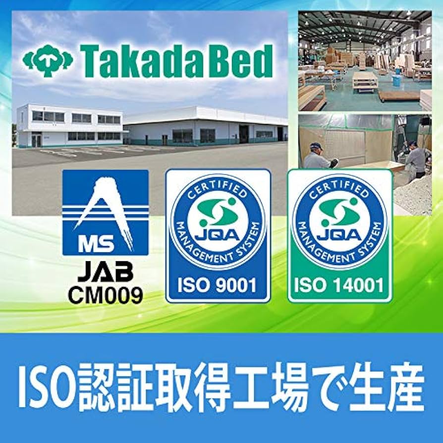 Amazon.co.jp: 【高田ベッド エステベッド】 無孔GSエスティー